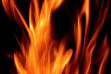 Recibimiento del Leño 