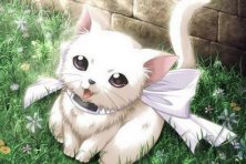 Semana Cultural de Extremadura y fiestas de la Virgen de Esparia IV