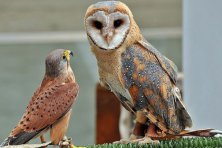 Día Internacional de los Museos III