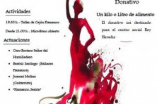 II Atardecer Flamenco 